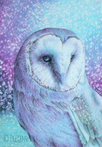 Owl in Four Colors